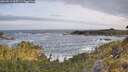 ./images/calvert/foggy-cove/20260519/foggy-cove20260519_065501M.jpg