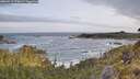 ./images/calvert/foggy-cove/20260519/foggy-cove20260519_070002M.jpg