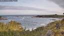 ./images/calvert/foggy-cove/20260519/foggy-cove20260519_071001M.jpg