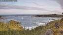 ./images/calvert/foggy-cove/20260519/foggy-cove20260519_071501M.jpg