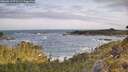 ./images/calvert/foggy-cove/20260519/foggy-cove20260519_072001M.jpg