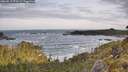 ./images/calvert/foggy-cove/20260519/foggy-cove20260519_072501M.jpg