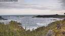 ./images/calvert/foggy-cove/20260519/foggy-cove20260519_073002M.jpg