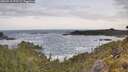 ./images/calvert/foggy-cove/20260519/foggy-cove20260519_073501M.jpg