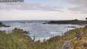 ./images/calvert/foggy-cove/20260519/foggy-cove20260519_074501M.jpg