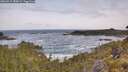 ./images/calvert/foggy-cove/20260519/foggy-cove20260519_080002M.jpg
