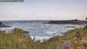 ./images/calvert/foggy-cove/20260519/foggy-cove20260519_081501M.jpg