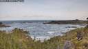./images/calvert/foggy-cove/20260519/foggy-cove20260519_082001M.jpg