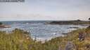 ./images/calvert/foggy-cove/20260519/foggy-cove20260519_082501M.jpg