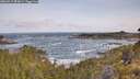 ./images/calvert/foggy-cove/20260519/foggy-cove20260519_083001M.jpg