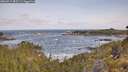 ./images/calvert/foggy-cove/20260519/foggy-cove20260519_083501M.jpg