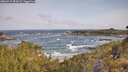 ./images/calvert/foggy-cove/20260519/foggy-cove20260519_084501M.jpg