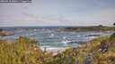 ./images/calvert/foggy-cove/20260519/foggy-cove20260519_085001M.jpg