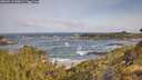./images/calvert/foggy-cove/20260519/foggy-cove20260519_090001M.jpg