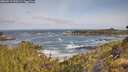 ./images/calvert/foggy-cove/20260519/foggy-cove20260519_090501M.jpg