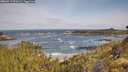 ./images/calvert/foggy-cove/20260519/foggy-cove20260519_091001M.jpg