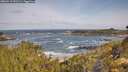 ./images/calvert/foggy-cove/20260519/foggy-cove20260519_091501M.jpg