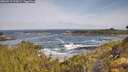 ./images/calvert/foggy-cove/20260519/foggy-cove20260519_092001M.jpg