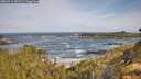 ./images/calvert/foggy-cove/20260519/foggy-cove20260519_092501M.jpg