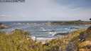 ./images/calvert/foggy-cove/20260519/foggy-cove20260519_093001M.jpg