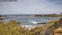 ./images/calvert/foggy-cove/20260519/foggy-cove20260519_093501M.jpg