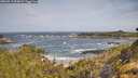 ./images/calvert/foggy-cove/20260519/foggy-cove20260519_094002M.jpg