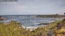 ./images/calvert/foggy-cove/20260519/foggy-cove20260519_094501M.jpg