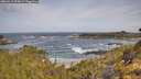 ./images/calvert/foggy-cove/20260519/foggy-cove20260519_095001M.jpg