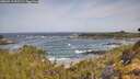 ./images/calvert/foggy-cove/20260519/foggy-cove20260519_095501M.jpg