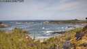 ./images/calvert/foggy-cove/20260519/foggy-cove20260519_100001M.jpg