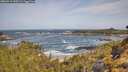 ./images/calvert/foggy-cove/20260519/foggy-cove20260519_100501M.jpg