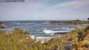 ./images/calvert/foggy-cove/20260519/foggy-cove20260519_101001M.jpg