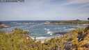 ./images/calvert/foggy-cove/20260519/foggy-cove20260519_101501M.jpg