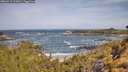 ./images/calvert/foggy-cove/20260519/foggy-cove20260519_102001M.jpg