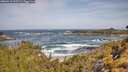 ./images/calvert/foggy-cove/20260519/foggy-cove20260519_102501M.jpg