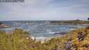 ./images/calvert/foggy-cove/20260519/foggy-cove20260519_103001M.jpg