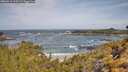 ./images/calvert/foggy-cove/20260519/foggy-cove20260519_103501M.jpg