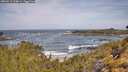 ./images/calvert/foggy-cove/20260519/foggy-cove20260519_104001M.jpg