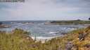 ./images/calvert/foggy-cove/20260519/foggy-cove20260519_104502M.jpg