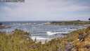 ./images/calvert/foggy-cove/20260519/foggy-cove20260519_105001M.jpg