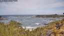 ./images/calvert/foggy-cove/20260519/foggy-cove20260519_105501M.jpg