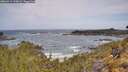 ./images/calvert/foggy-cove/20260519/foggy-cove20260519_110001M.jpg