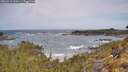 ./images/calvert/foggy-cove/20260519/foggy-cove20260519_110501M.jpg