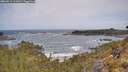 ./images/calvert/foggy-cove/20260519/foggy-cove20260519_111001M.jpg