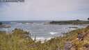 ./images/calvert/foggy-cove/20260519/foggy-cove20260519_111501M.jpg