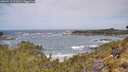 ./images/calvert/foggy-cove/20260519/foggy-cove20260519_112001M.jpg