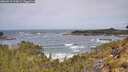 ./images/calvert/foggy-cove/20260519/foggy-cove20260519_113001M.jpg