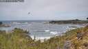 ./images/calvert/foggy-cove/20260519/foggy-cove20260519_113501M.jpg