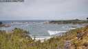 ./images/calvert/foggy-cove/20260519/foggy-cove20260519_114001M.jpg