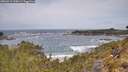 ./images/calvert/foggy-cove/20260519/foggy-cove20260519_114501M.jpg